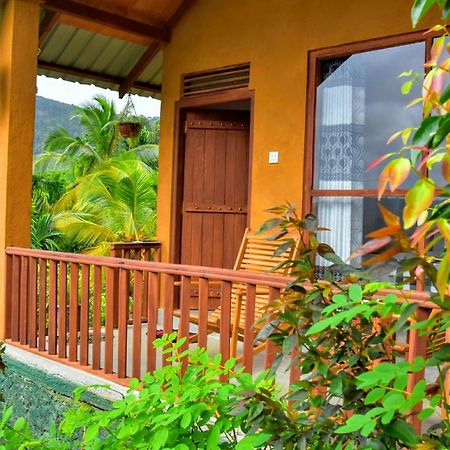 Rainforest Nature House Deniyaya Dış mekan fotoğraf
