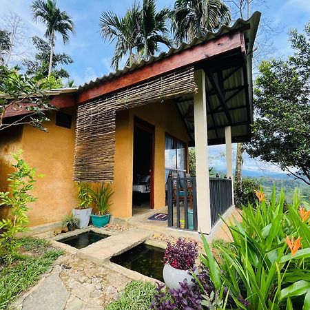 Rainforest Nature House Deniyaya Dış mekan fotoğraf
