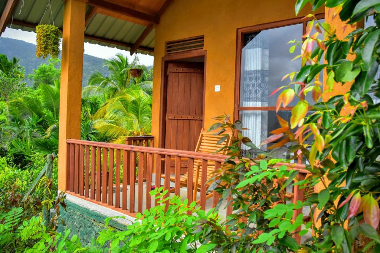 Rainforest Nature House Deniyaya Dış mekan fotoğraf