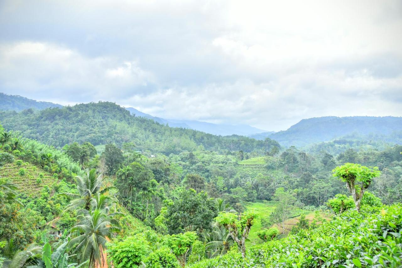 Rainforest Nature House Deniyaya Dış mekan fotoğraf