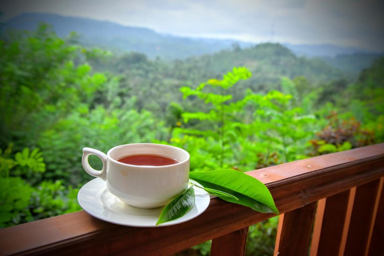 Rainforest Nature House Deniyaya Dış mekan fotoğraf