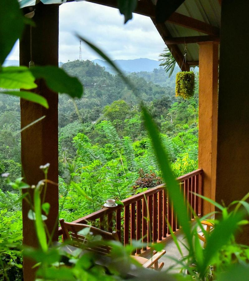 Rainforest Nature House Deniyaya Dış mekan fotoğraf