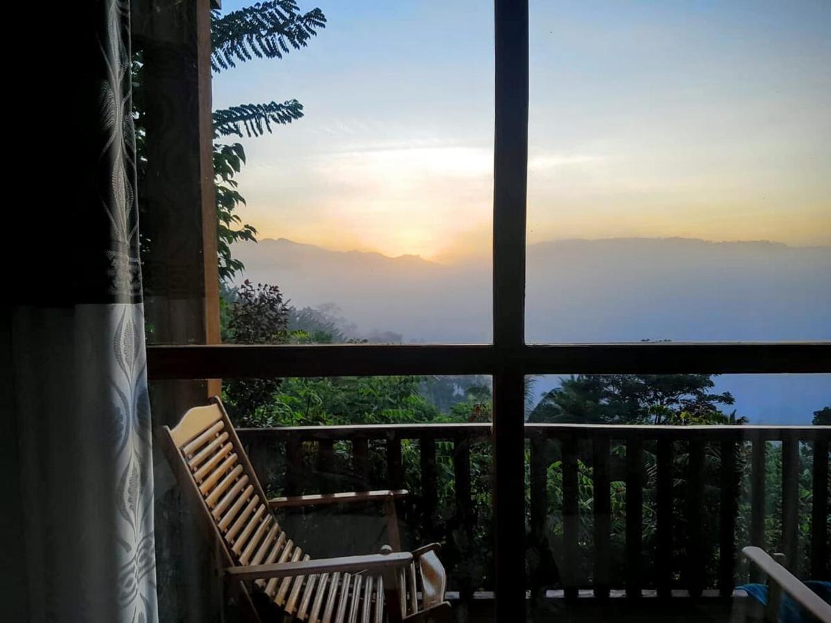 Rainforest Nature House Deniyaya Dış mekan fotoğraf