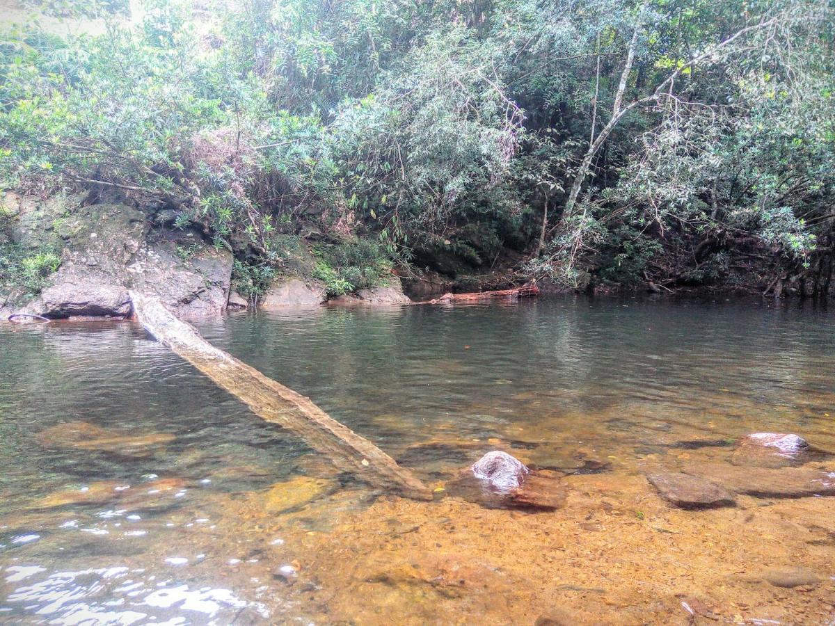 Rainforest Nature House Deniyaya Dış mekan fotoğraf