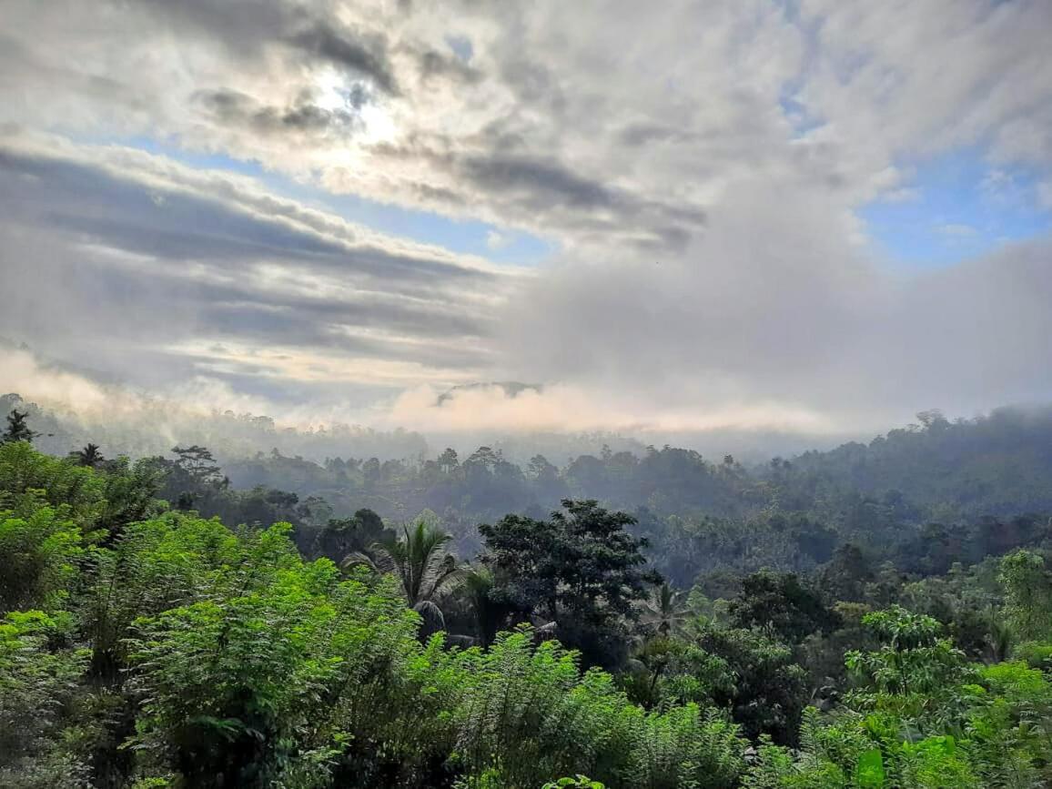 Rainforest Nature House Deniyaya Dış mekan fotoğraf