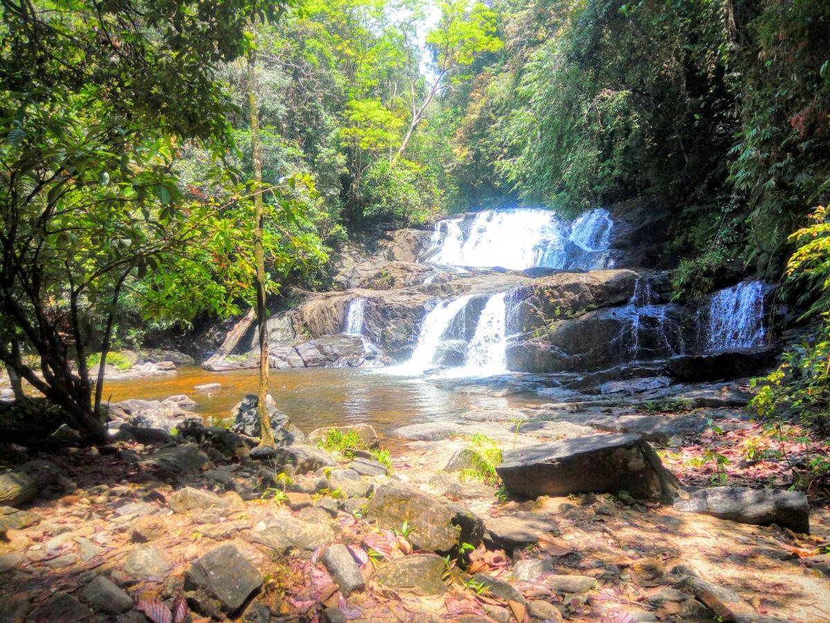 Rainforest Nature House Deniyaya Dış mekan fotoğraf