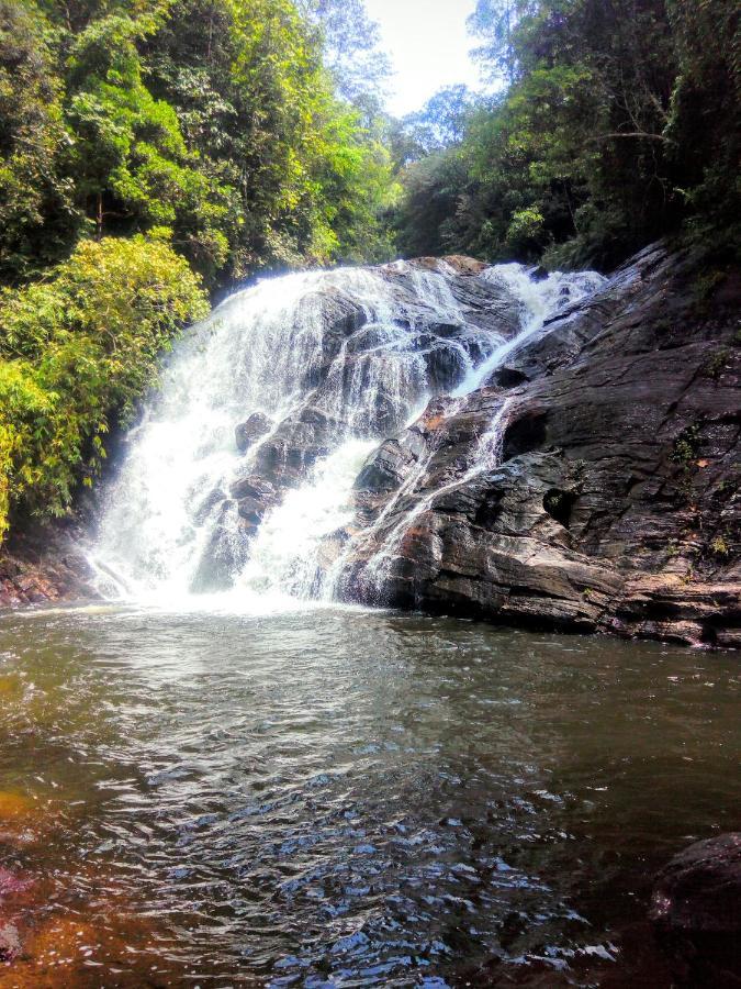 Rainforest Nature House Deniyaya Dış mekan fotoğraf
