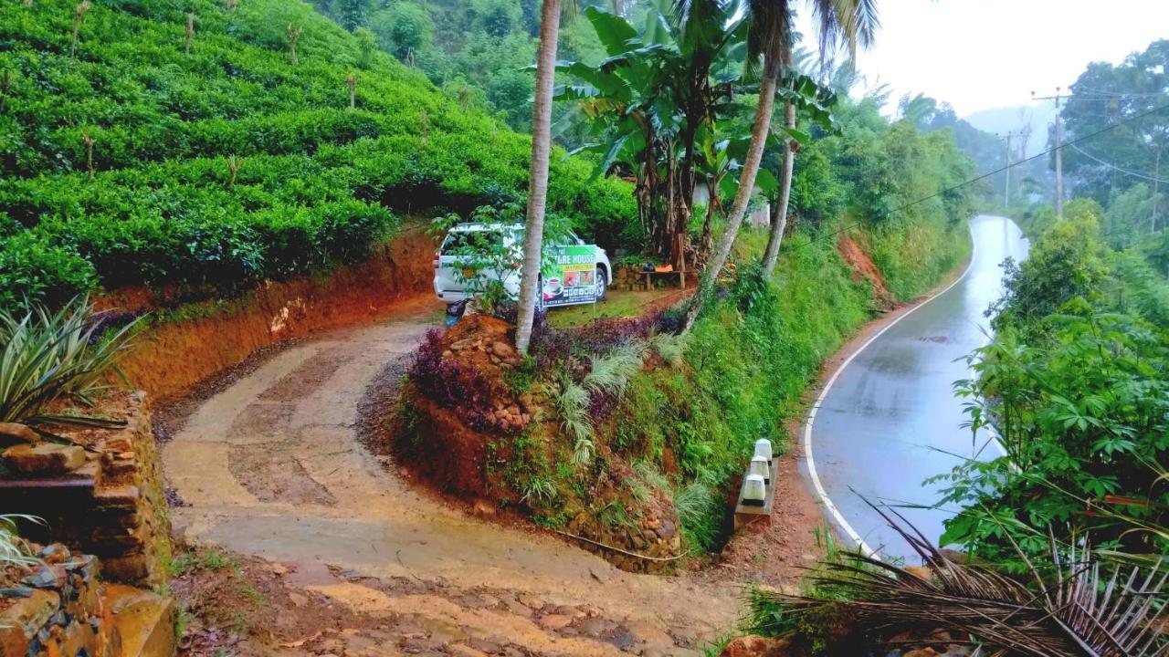 Rainforest Nature House Deniyaya Dış mekan fotoğraf