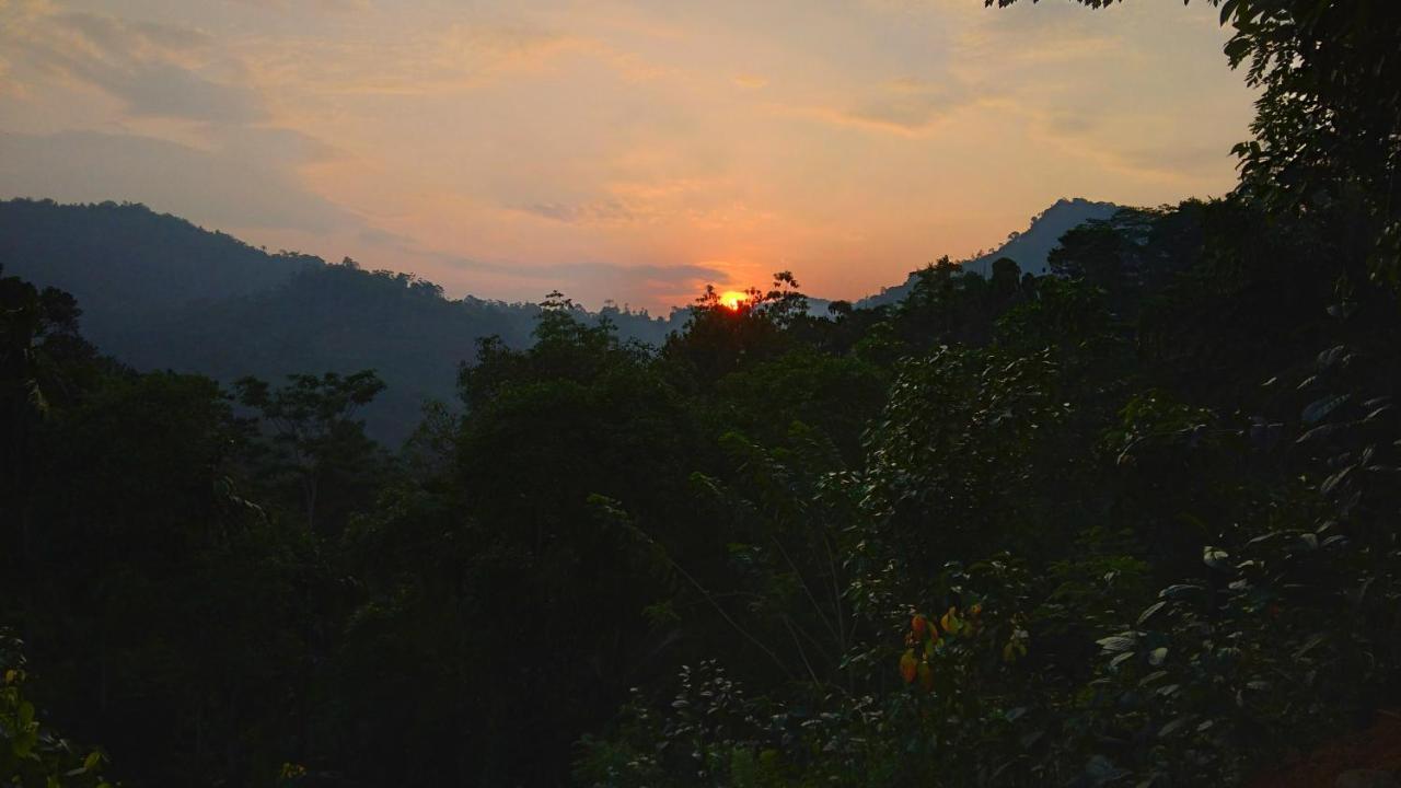 Rainforest Nature House Deniyaya Dış mekan fotoğraf