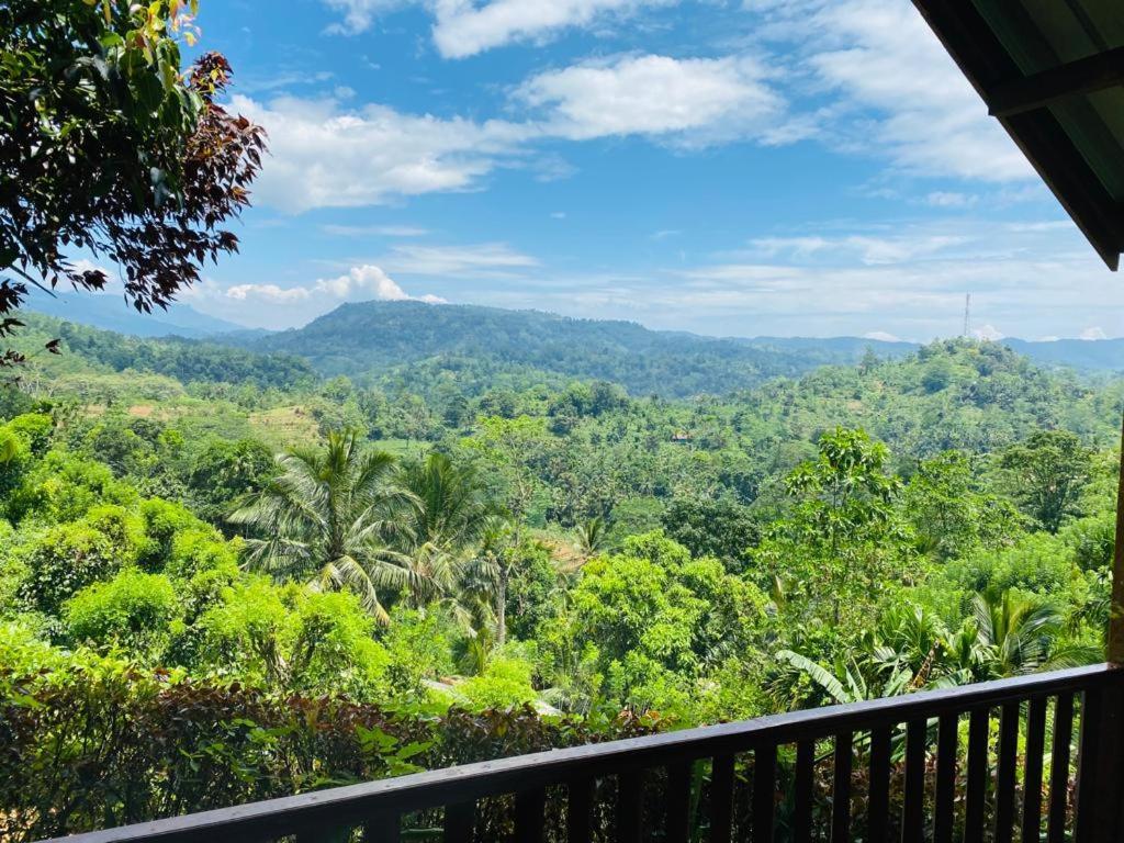 Rainforest Nature House Deniyaya Dış mekan fotoğraf