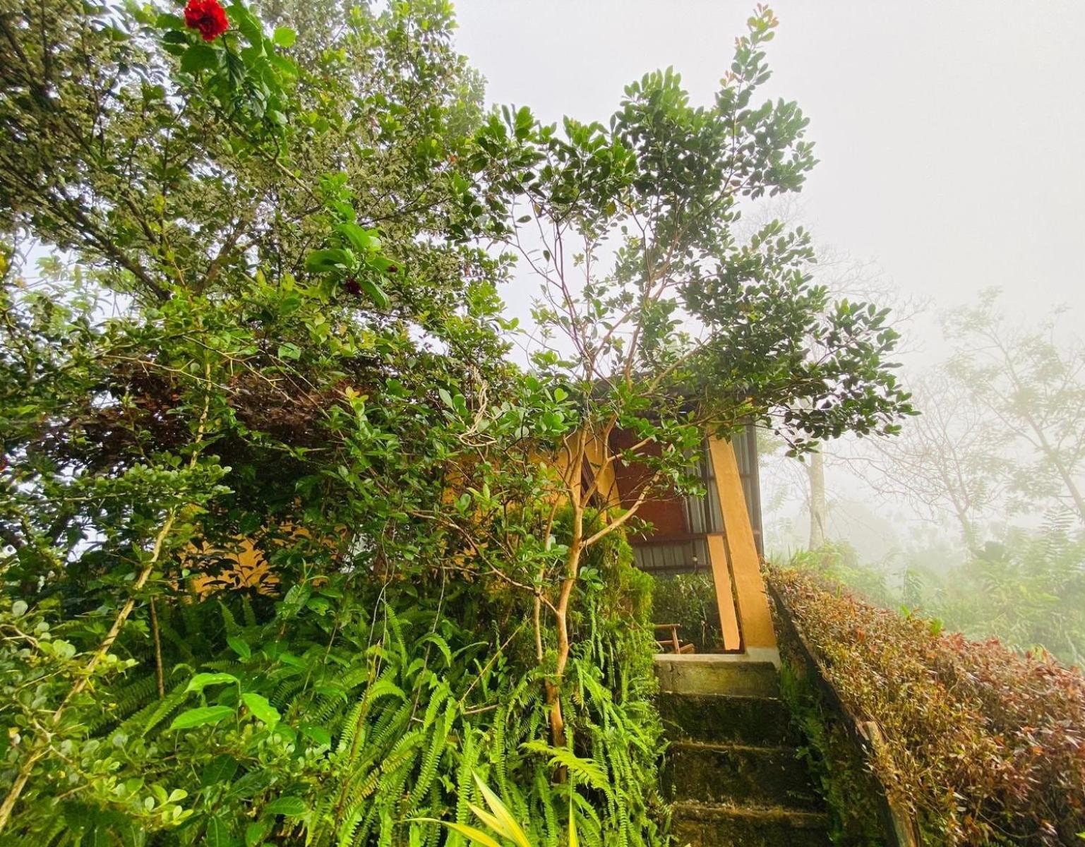 Rainforest Nature House Deniyaya Oda fotoğraf